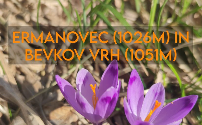 ERMANOVEC (1026m) in BEVKOV VRH (1051m)